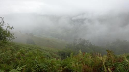 DSC05252