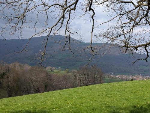 IMG-20250327-WA0010