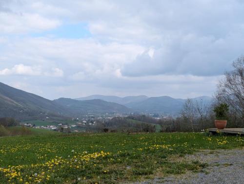 IMG-20250327-WA0011