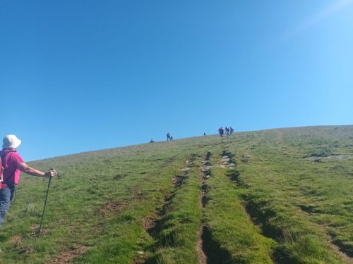 IMG-20260521-WA0007