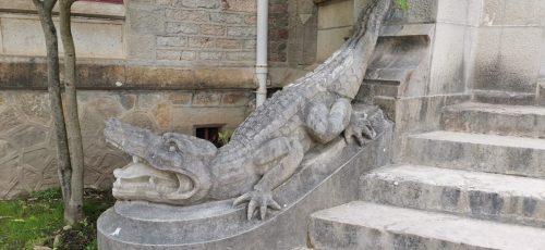 IMG_20250516_151944