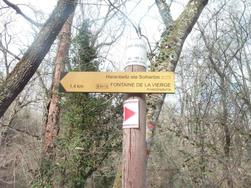 Bois d'Ostabat