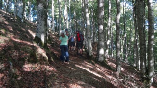 Urepel1